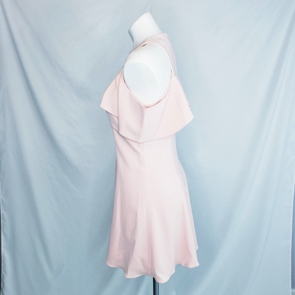 JayGodfrey Ruffle Sleeve Fit & Flare Dress Pink - Picture 6 of 13